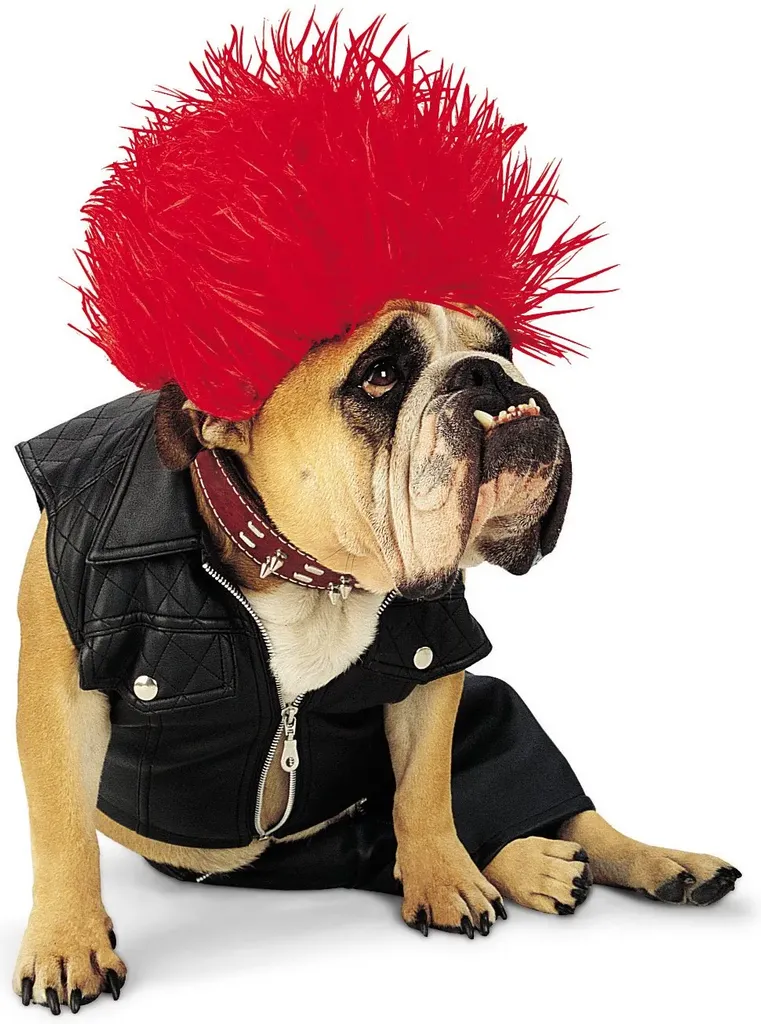 30 tolle Halloween-Kostüme für Hunde und Katzen' title=