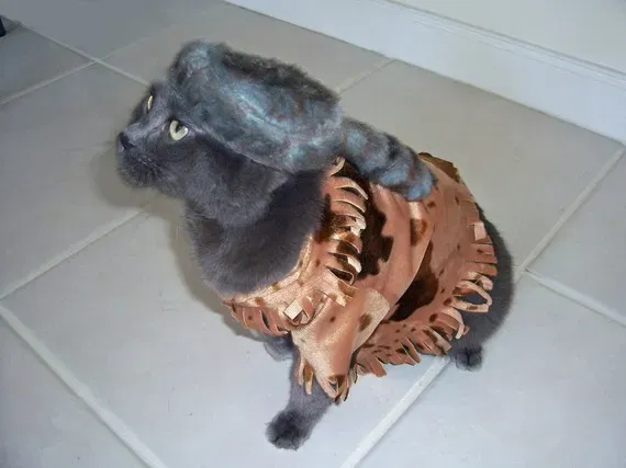 30 tolle Halloween-Kostüme für Hunde und Katzen' title=