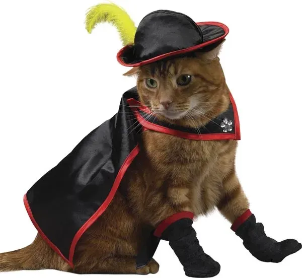 30 tolle Halloween-Kostüme für Hunde und Katzen' title=