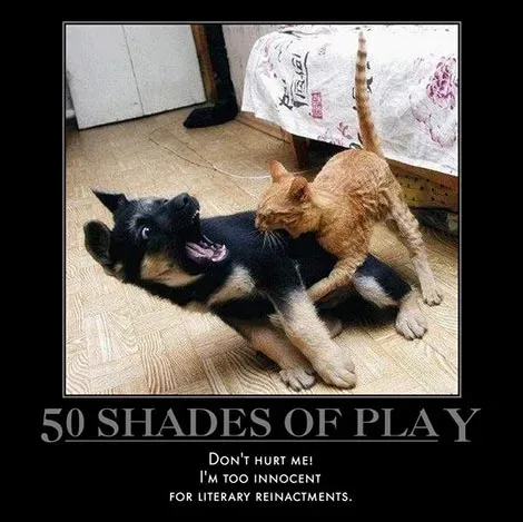 25 signes démotivants amusants pour les chiens et les chats' title=