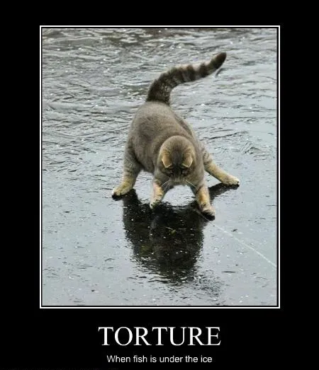 25 signes démotivants amusants pour les chiens et les chats' title=