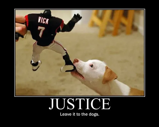 25 signes démotivants amusants pour les chiens et les chats' title=