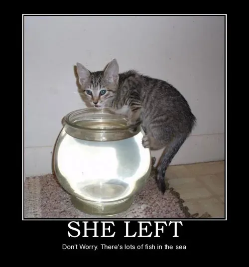 25 signes démotivants amusants pour les chiens et les chats' title=