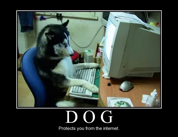 25 signes démotivants amusants pour les chiens et les chats' title=