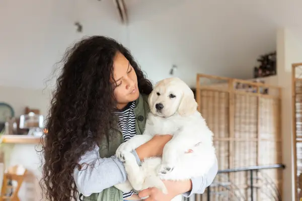 Přineste nového psa domů: Příprava a první kroky