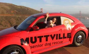 DogTime이 Beast of the Bay Award를 수상했습니다.