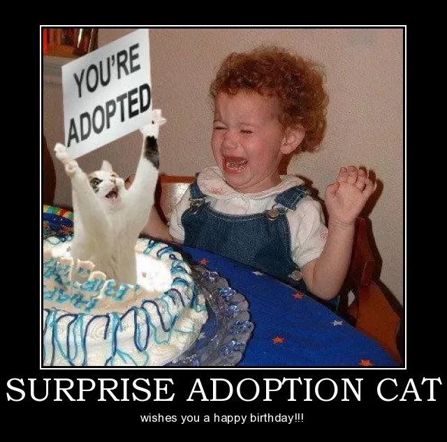 25 sjove hunde og kat demotiverende tegn' title=