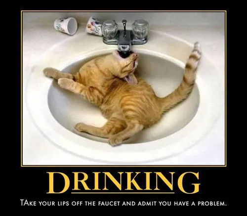 25 sjove hunde og kat demotiverende tegn' title=