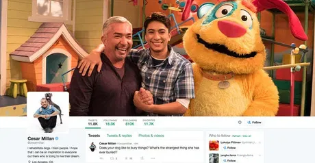 Følg dette: 10 bedste Doggie Twitter-konti