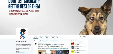 Følg dette: 10 bedste Doggie Twitter-konti