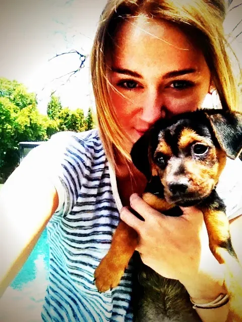 Miley Cyrus est heureuse d'avoir un nouveau chiot' title=