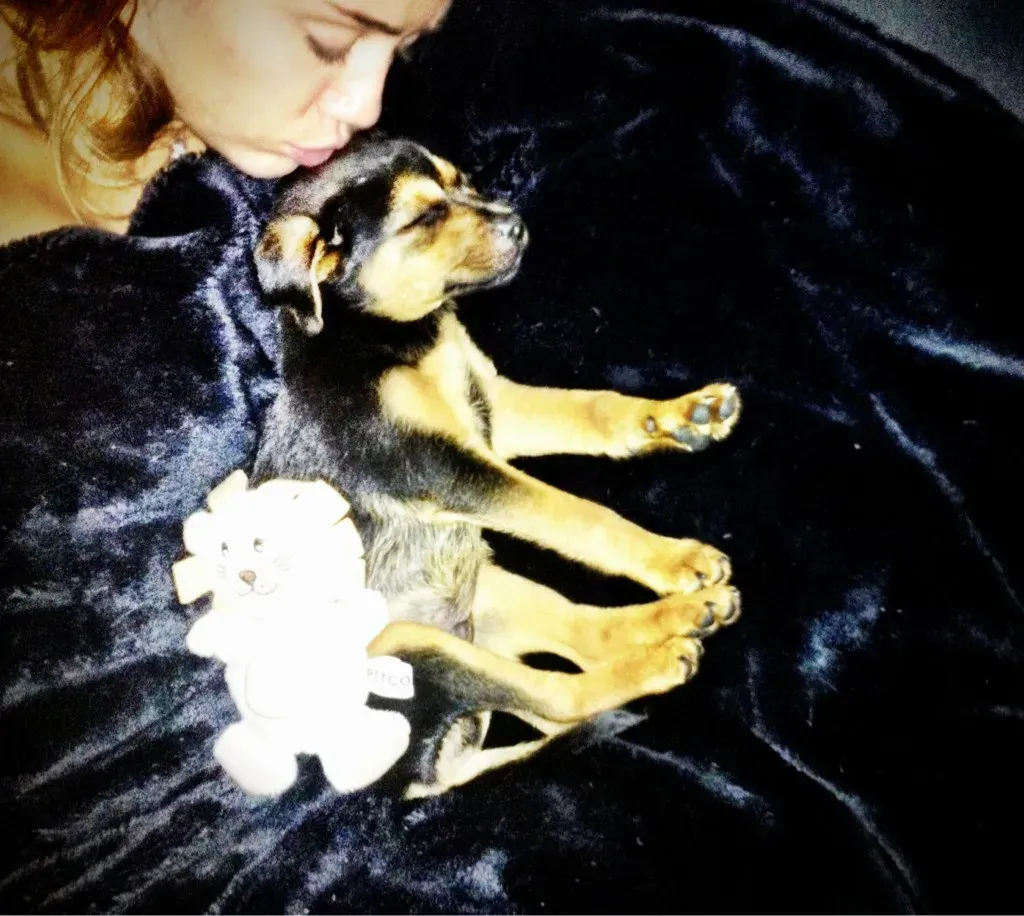 Miley Cyrus est heureuse d'avoir un nouveau chiot' title=