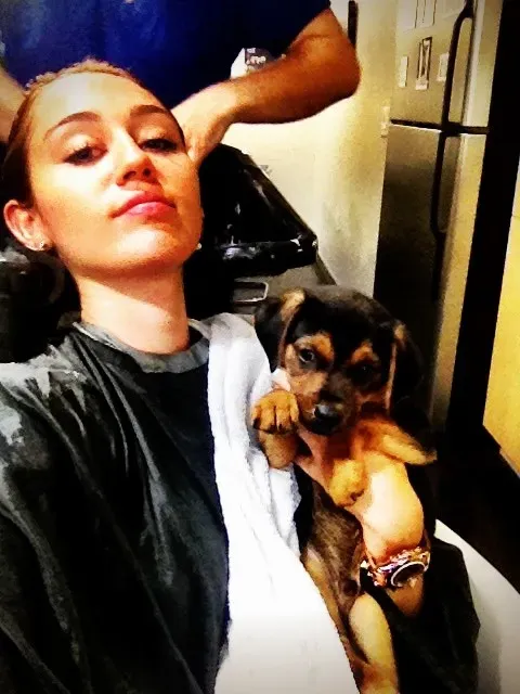 Miley Cyrus est heureuse d'avoir un nouveau chiot' title=