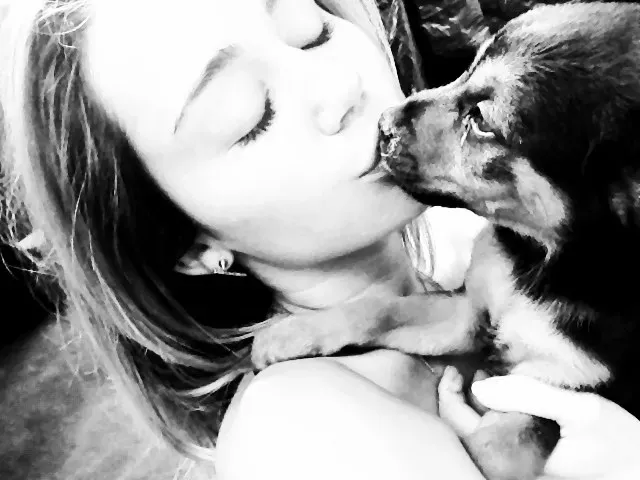 Miley Cyrus est heureuse d'avoir un nouveau chiot' title=