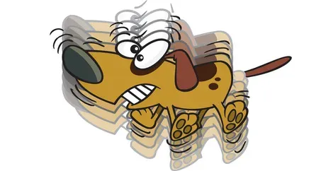 Originile fascinante ale 6 expresii de zi cu zi despre câini