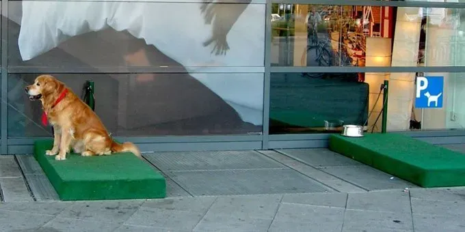 Hundeparkplatz' title=