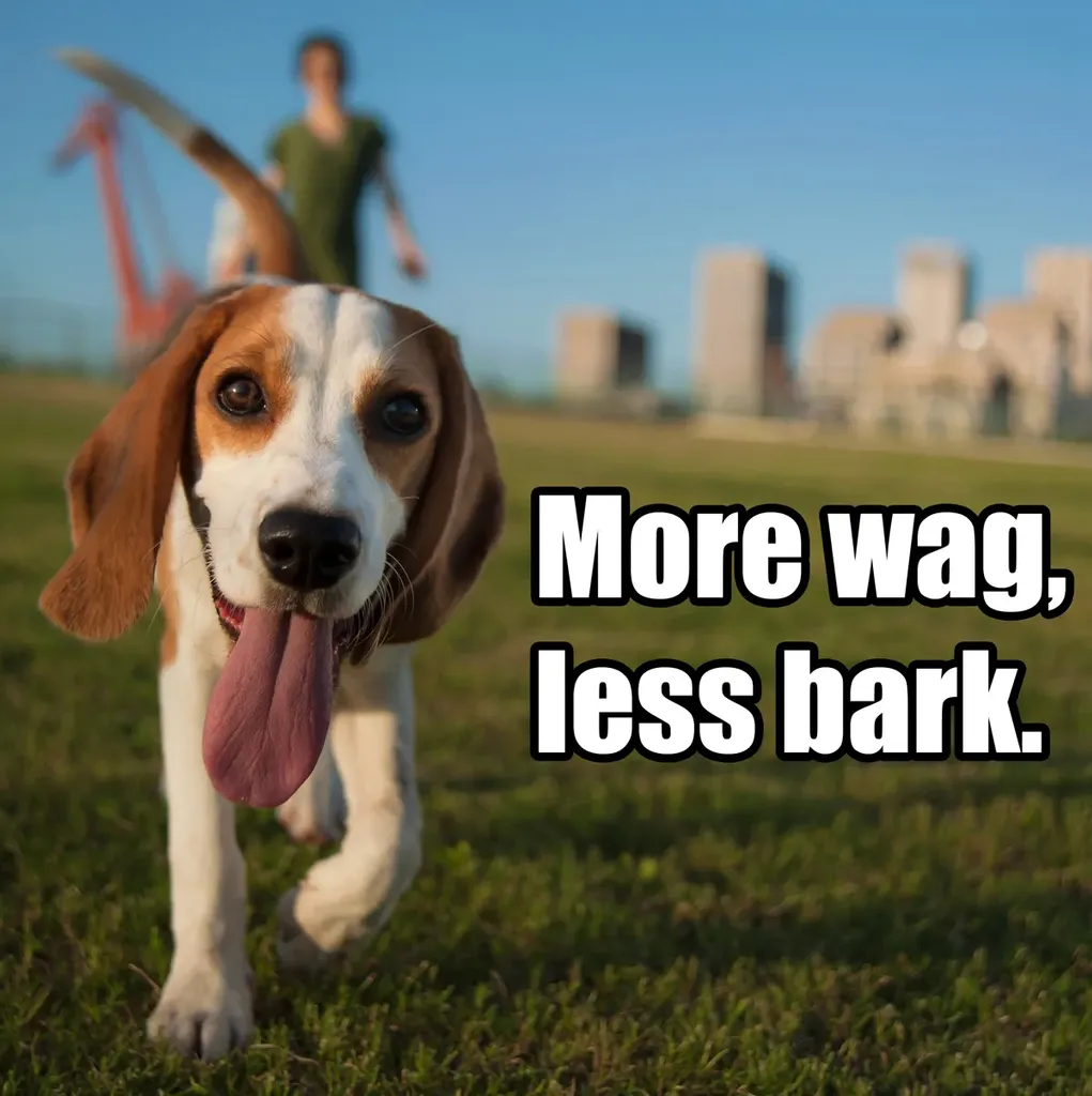 Memy o psach, część 5: Dobre, smutne i zabawne' title=