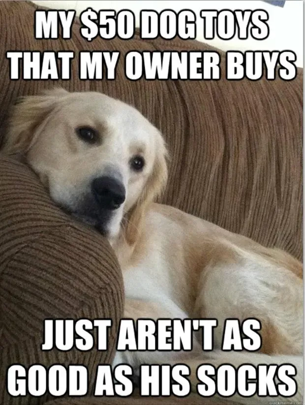 Memy o psach, część 5: Dobre, smutne i zabawne' title=