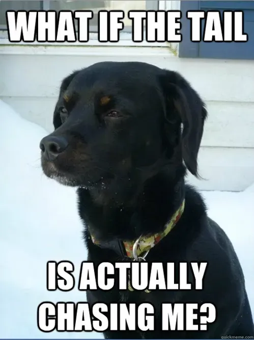 Memy o psach, część 5: Dobre, smutne i zabawne' title=