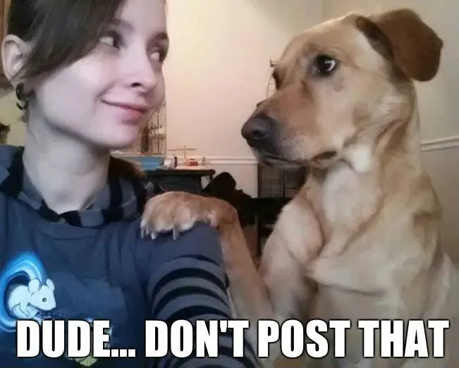 Memy o psach, część 5: Dobre, smutne i zabawne' title=