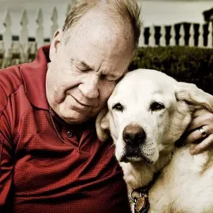 9/11 테러 당시 주인의 생명을 구한 개, 상을 받았습니다