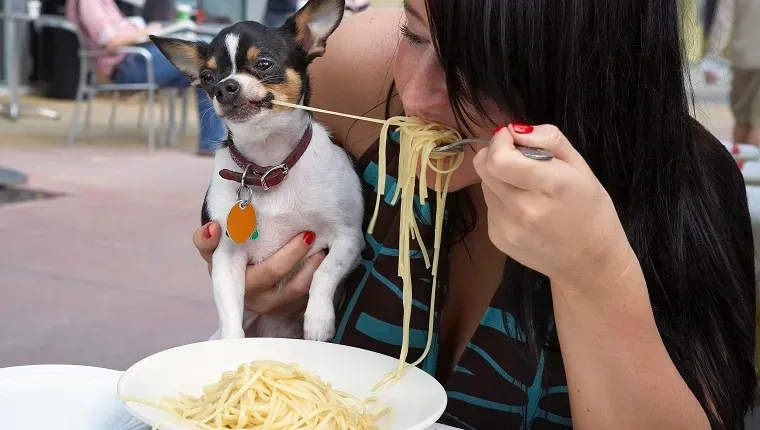 (Kuvan luotto: Getty Images)' title=