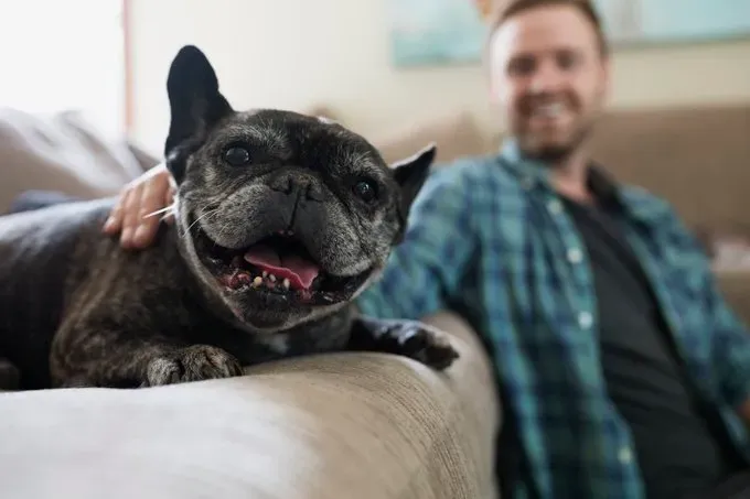 (Kuvan luotto: Getty Images)' title=