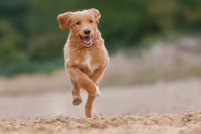 (Kuvan luotto: Getty Images)' title=