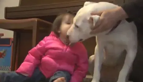 Theia: Perro zombi le va bien después de ser enterrado vivo