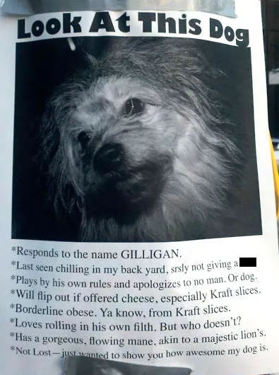 10 morsomme manglende kjæledyrskilt' title=