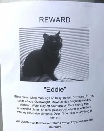 10 morsomme manglende kjæledyrskilt' title=