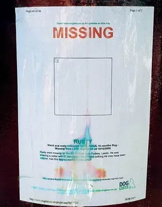 10 morsomme manglende kjæledyrskilt' title=