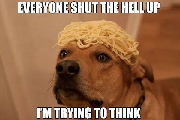 25 roliga hundmemes' title=