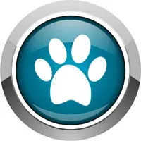 상위 10개 애완동물 앱