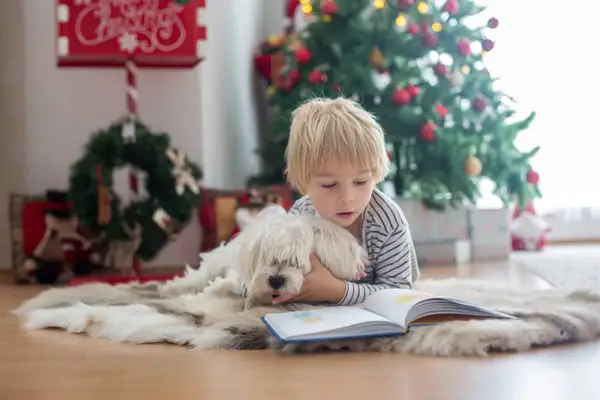 A toddler reading a book, snuggled up next to his pup, with festive decorations in the background.