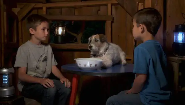 Shot from the movie A Doggone Christmas.