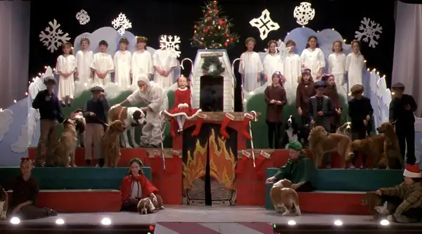 The 12 Dogs of Christmas.