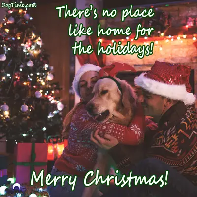 Home For The Holidays