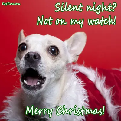 Silent Night