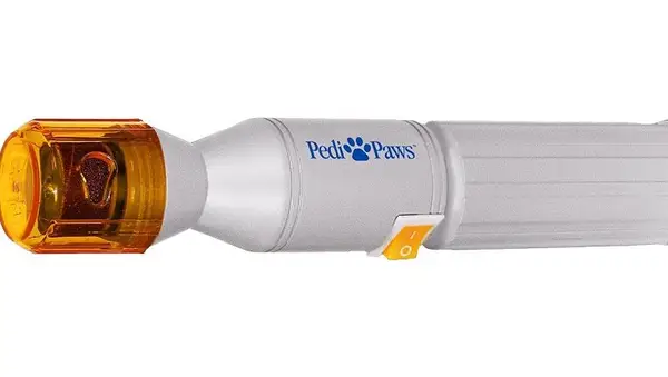 dog-gadgets-gift-guide-2