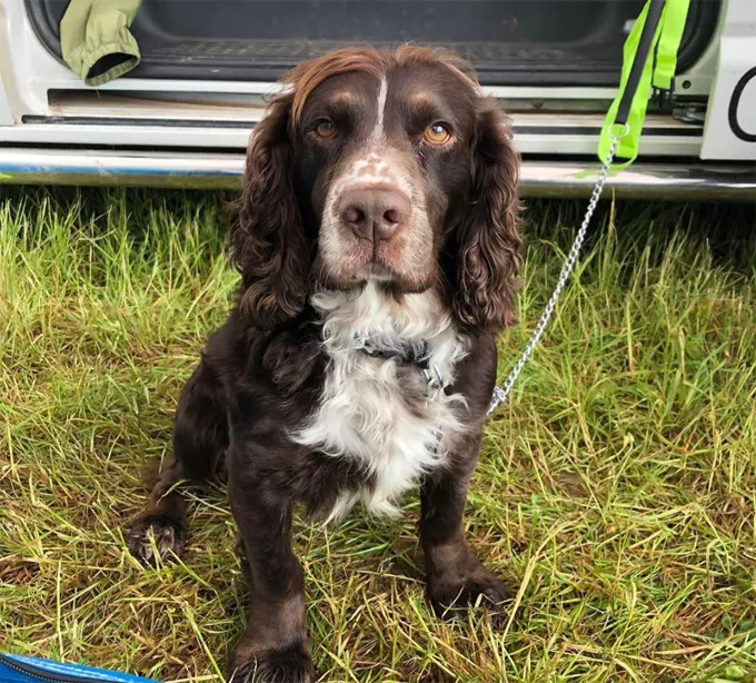 Ņemiet savu suni uz darba dienu!' title=