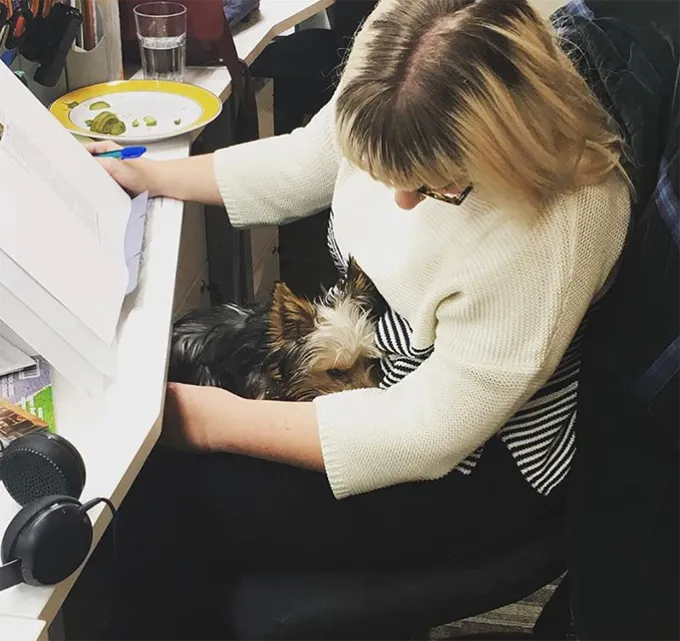 Ņemiet savu suni uz darba dienu!' title=