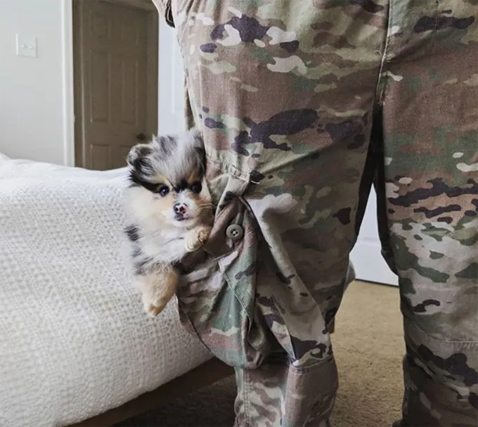 Es nedomāju, ka tas ir valdības jautājums.' title=