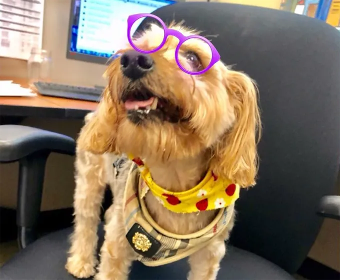 Ikdienas piektdiena.' title=