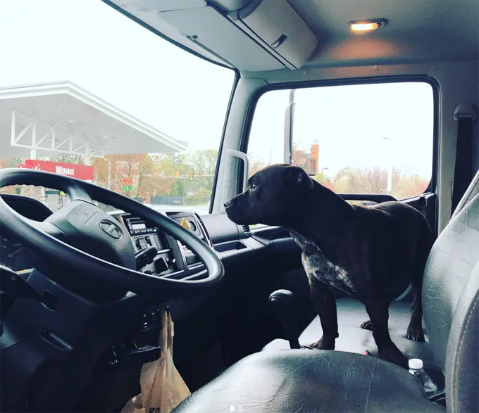 Uz austrumiem un uz leju!' title=