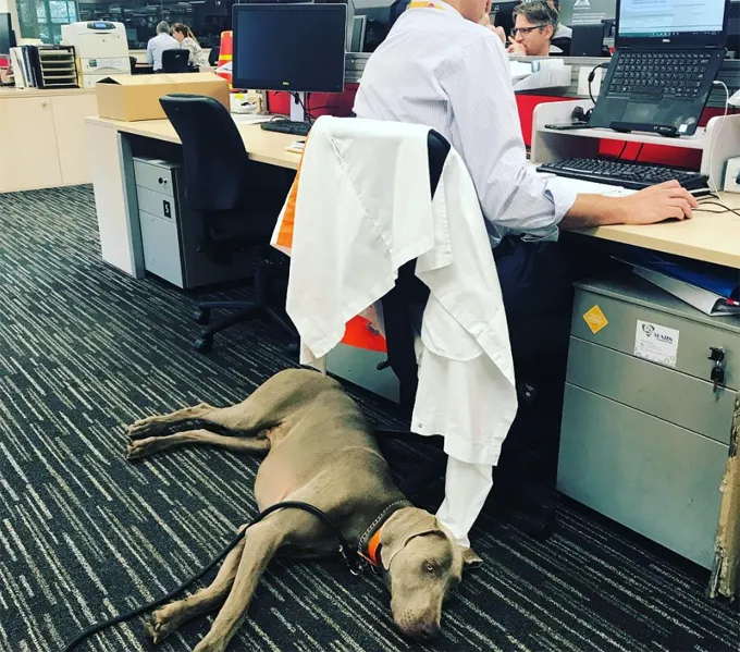 Vēl viena diena birojā.' title=