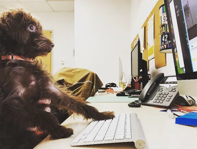 Jāpabeidz šī izklājlapa.' title=