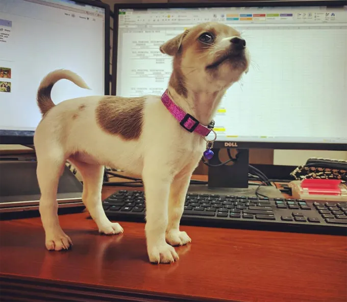 Mīļākā vieta!' title=