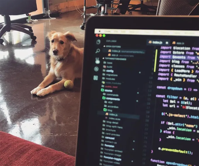 Ņemiet savu suni uz darba dienu!' title=