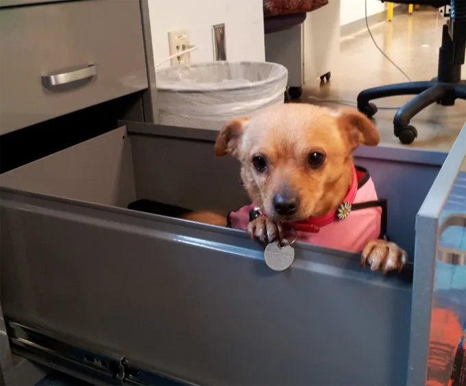 Kā viņa tur nokļuva?' title=